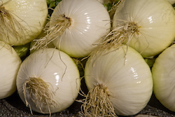 Onions for sale Kelowna Farmers Market - Bruce Kemp