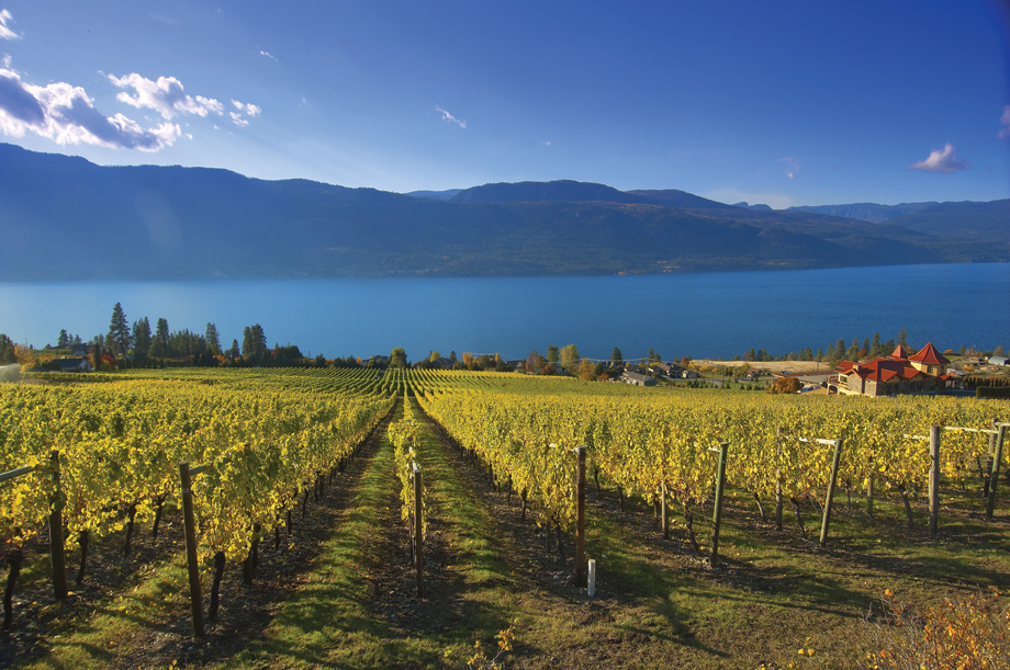 Okanagan valley outlet wine