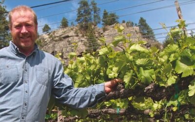 Okanagan winemaker turns wine consultant: work dirty, hot and sweaty