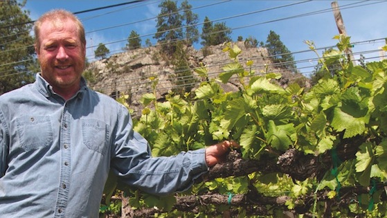 Okanagan winemaker turns wine consultant: work dirty, hot and sweaty