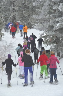 white-rabbit-snowshoe-race-crystal