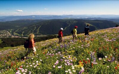 Sun Peaks hosts Canada’s Alpine Blossom Festival