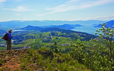 Hike Spion Kop Trails