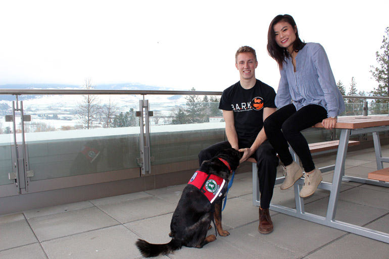 UBC Okanagan expands animal therapy program