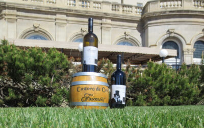 The Mac & the Merlot: Castoro de Oro wine marks 100 years at Fairmont hotel