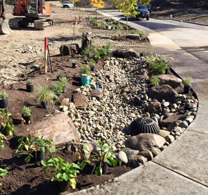 Kelowna first Green Street welcomes visitors this Saturday