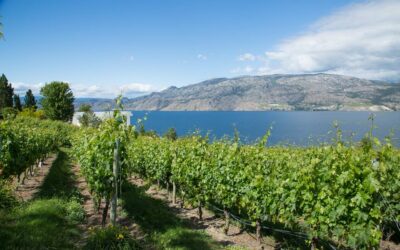 Comedy Duo takes the stage at Summerland winery