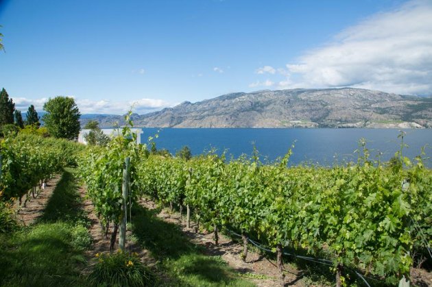 evolve-winery-summerland