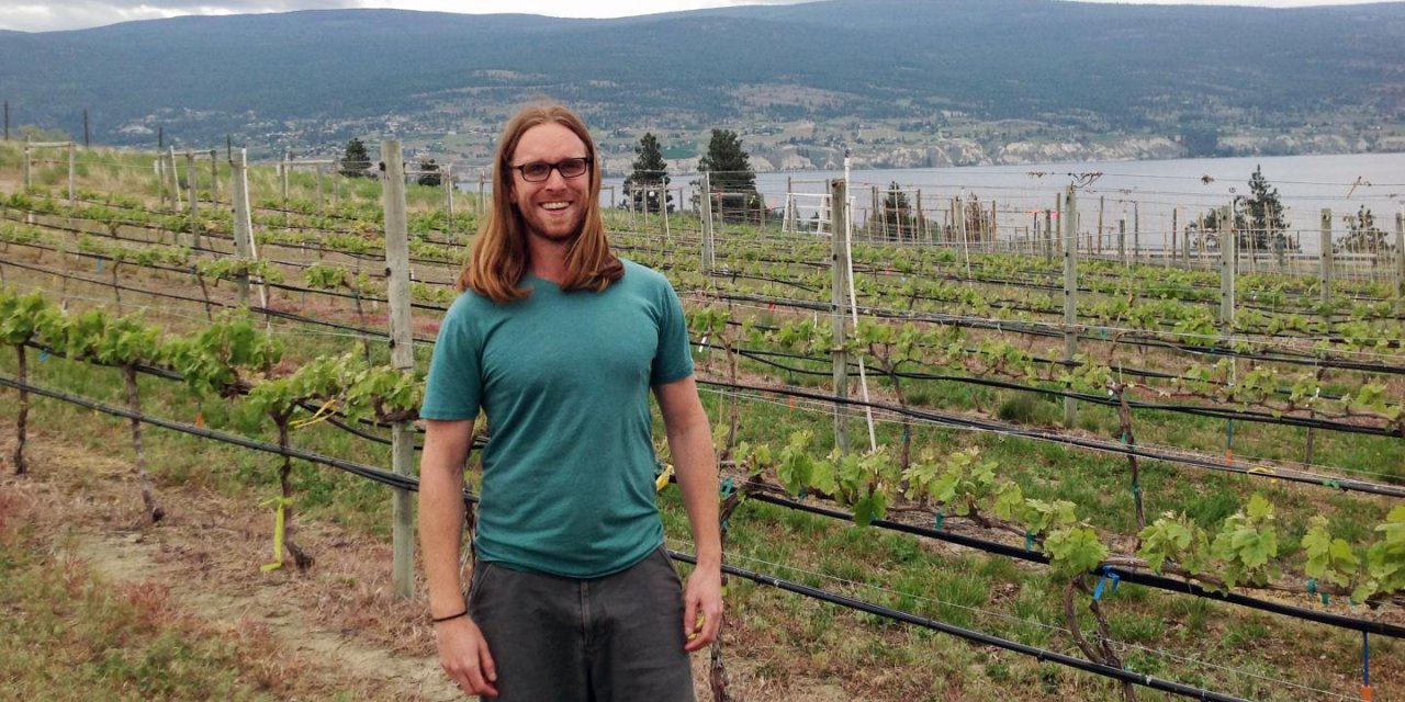 UBC researchers determine vineyards adversely affect soil quality