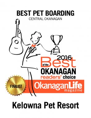 thumbnail of 2016-best-of-the-okanagan-petcare-2