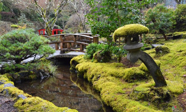 The Butchart Gardens bans the bottle for World Water Day