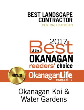 thumbnail of 2017_Best_of_the_Okanagan_construction_130