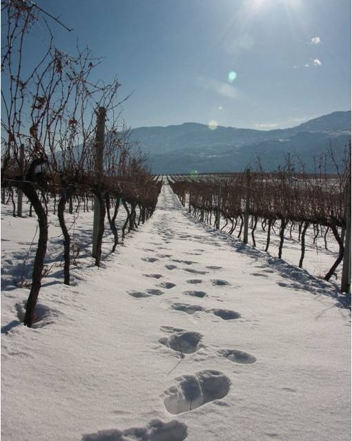 Be merry with a winter weekend in wine country