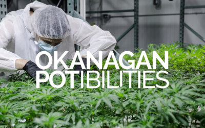 Feature: Okanagan POTibilities
