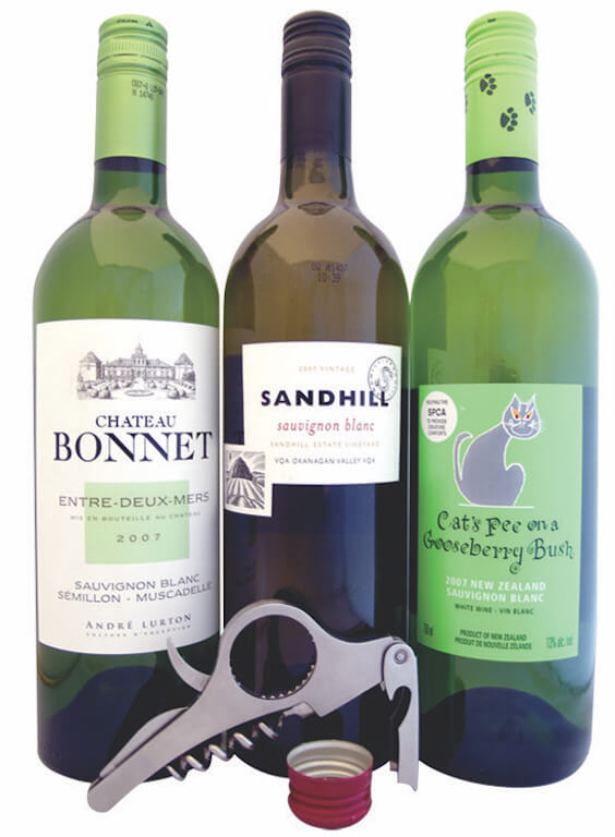 Sauvignon Blanc: white magic