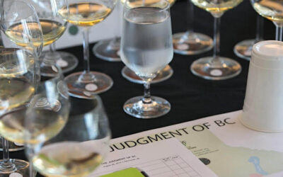 Wines of BC against the world in fourth annual judgement of BC