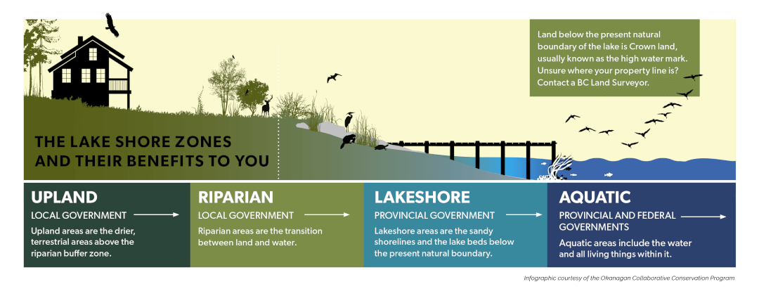 The-lake-shore-zones-and-their-benefits-to-you