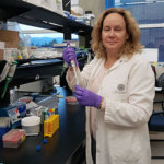 UBC study links specific chromosome to radiation-induced pulmonary fibrosis