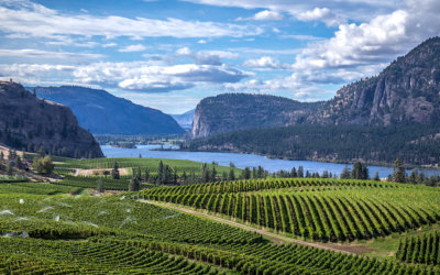 Okanagan Falls: Behind the label of a place all its own