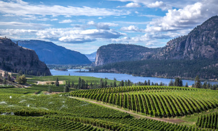 Okanagan Falls: Behind the label of a place all its own